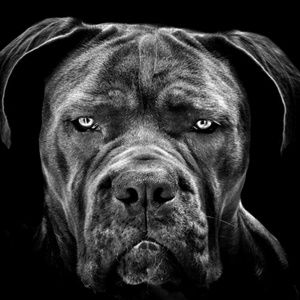 Meet your Posher, Sean